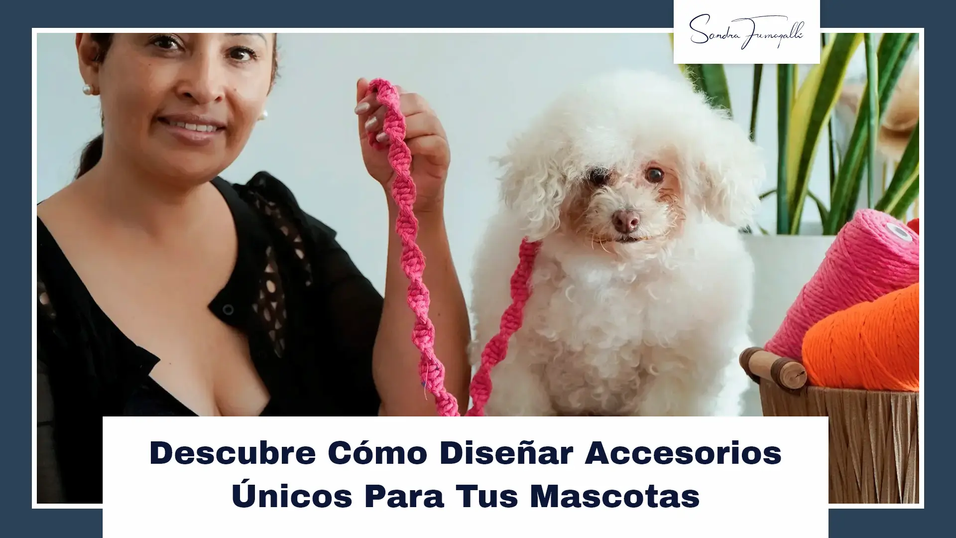 Accesorios para mascotas de macrame