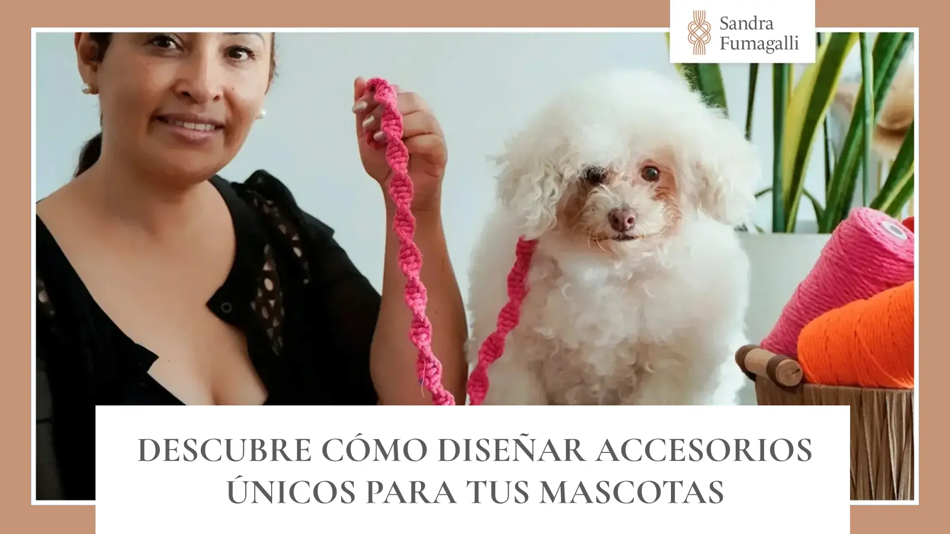 accesorios mascotas macrame